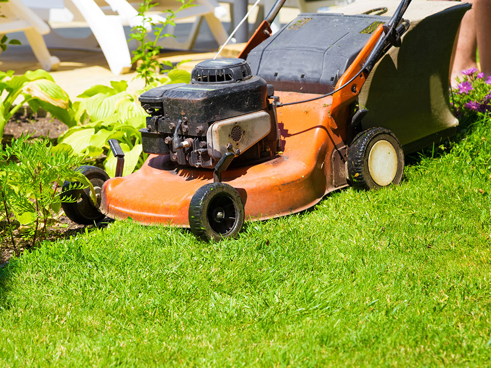 Lawn Mower Service Manitoba